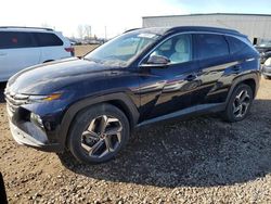 Salvage cars for sale from Copart Rocky View County, AB: 2023 Hyundai Tucson Luxury