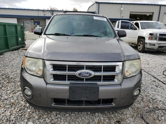 2010 Ford Escape XLT