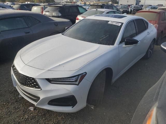 2021 Acura TLX Advance