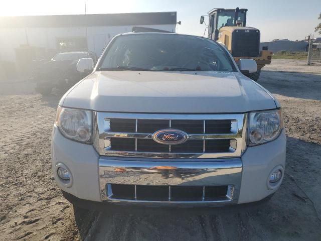 2011 Ford Escape Limited