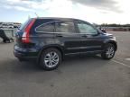 2010 Honda CR-V EXL