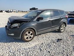 Salvage cars for sale from Copart Temple, TX: 2013 Ford Escape SE