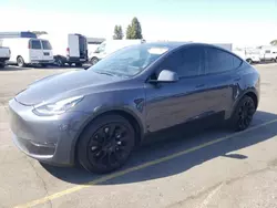 Salvage cars for sale at Hayward, CA auction: 2023 Tesla Model Y