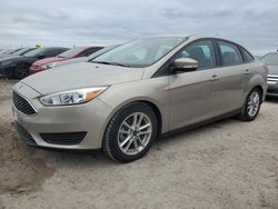 2016 Ford Focus SE en venta en Riverview, FL