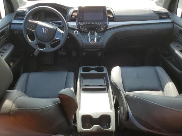 2023 Honda Odyssey EXL