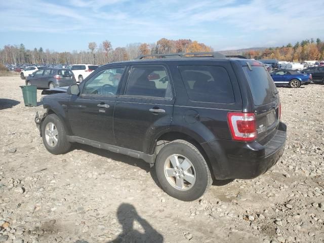 2009 Ford Escape XLT