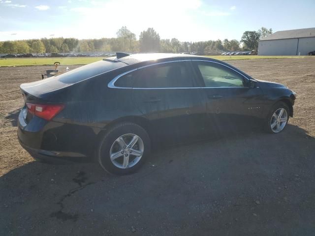 2019 Chevrolet Malibu LS