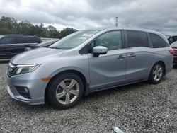 Carros dañados por inundaciones a la venta en subasta: 2019 Honda Odyssey EXL