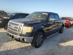 Salvage cars for sale from Copart Arcadia, FL: 2010 Ford F150 Supercrew