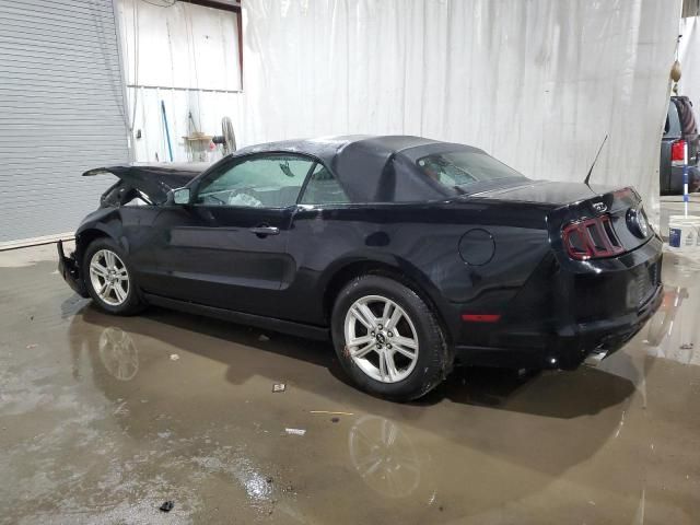 2013 Ford Mustang