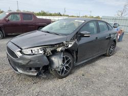 Ford salvage cars for sale: 2015 Ford Focus SE