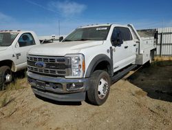 Salvage trucks for sale at Sacramento, CA auction: 2023 Ford F550 Super Duty