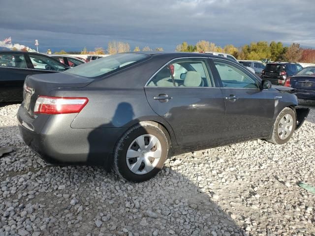 2008 Toyota Camry Hybrid