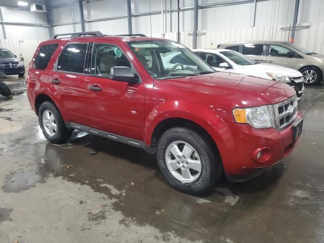 2010 Ford Escape XLT