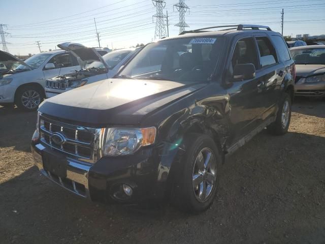 2010 Ford Escape Limited