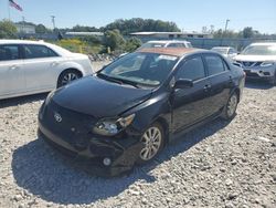 Salvage cars for sale at Montgomery, AL auction: 2010 Toyota Corolla Base