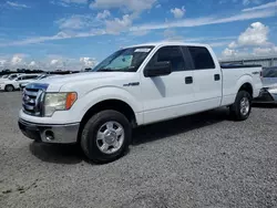 Salvage cars for sale from Copart Midway, FL: 2010 Ford F150 Supercrew