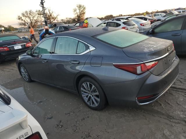 2021 Lexus ES 250 Base