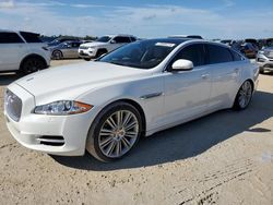 Salvage cars for sale from Copart Arcadia, FL: 2015 Jaguar XJL Portfolio