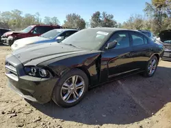 Salvage cars for sale at Baltimore, MD auction: 2013 Dodge Charger R/T