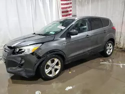 Ford salvage cars for sale: 2015 Ford Escape SE