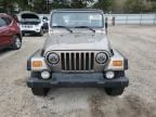 2003 Jeep Wrangler / TJ Sport