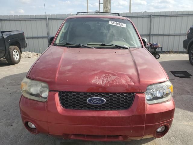 2007 Ford Escape Limited