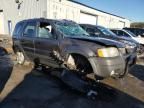 2002 Ford Escape XLT