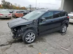 Salvage cars for sale at Fort Wayne, IN auction: 2014 Ford Escape Titanium