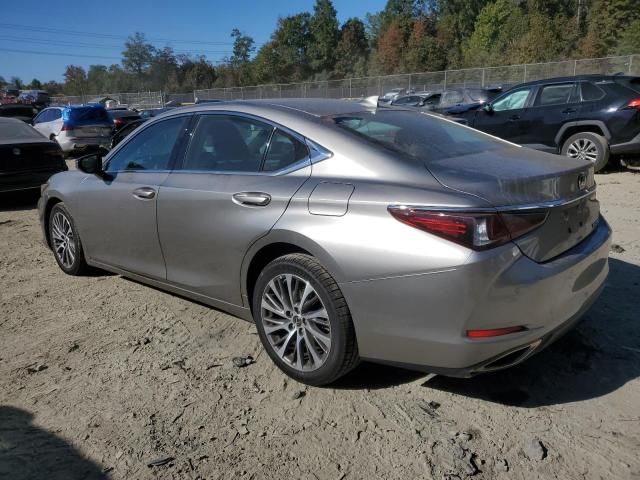 2019 Lexus ES 350