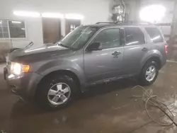 Salvage cars for sale at Pekin, IL auction: 2012 Ford Escape XLT