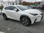 2020 Lexus NX 300