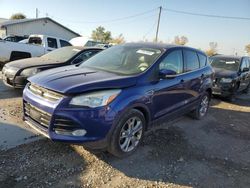 Salvage cars for sale at Pekin, IL auction: 2013 Ford Escape SEL