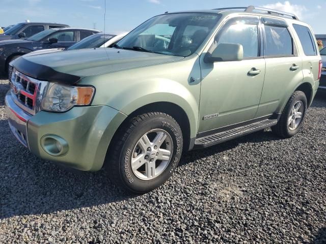 2008 Ford Escape HEV