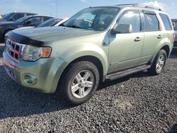 Carros dañados por inundaciones a la venta en subasta: 2008 Ford Escape HEV