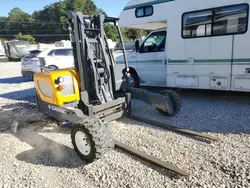 Other Fork Lift salvage cars for sale: 2023 Other Fork Lift