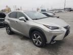 2020 Lexus NX 300H