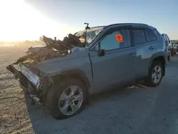 Salvage cars for sale at Antelope, CA auction: 2019 Toyota Rav4 XLE