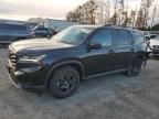 2023 Honda Pilot Trailsport