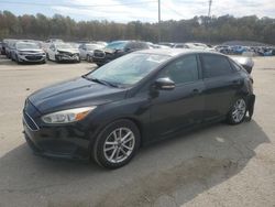 Salvage cars for sale at Louisville, KY auction: 2015 Ford Focus SE