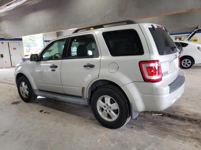 2009 Ford Escape XLT