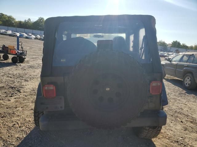 2002 Jeep Wrangler / TJ SE