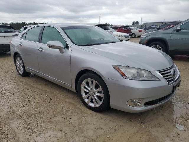 2010 Lexus ES 350