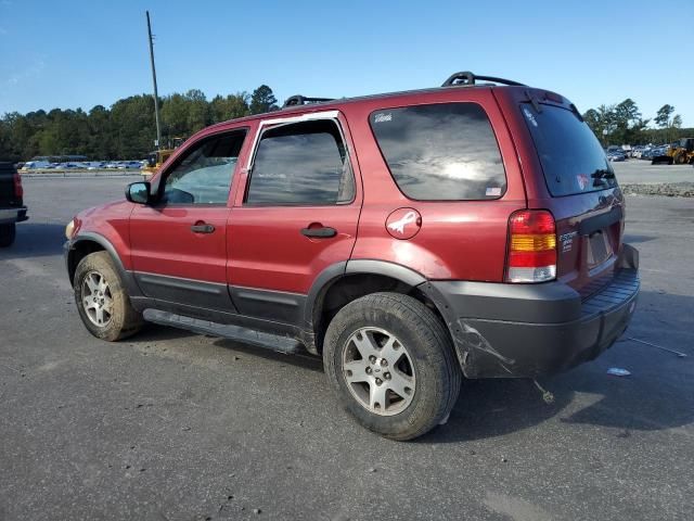 2005 Ford Escape XLT