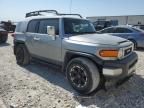 2011 Toyota FJ Cruiser