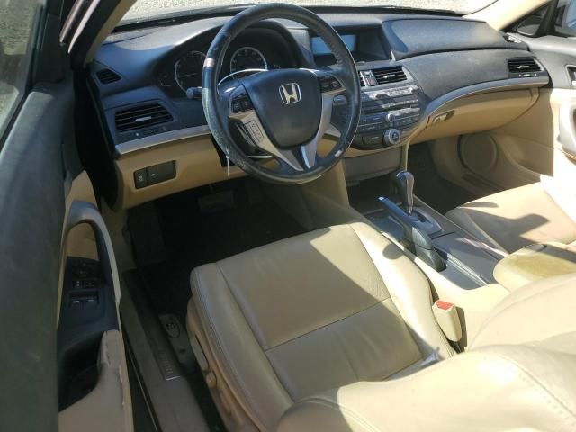 2011 Honda Accord EXL