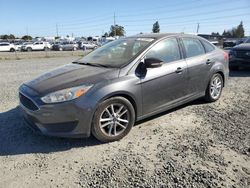 Salvage cars for sale at Eugene, OR auction: 2016 Ford Focus SE