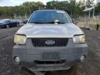 2003 Ford Escape XLT