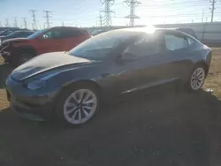 Salvage cars for sale at Elgin, IL auction: 2023 Tesla Model 3