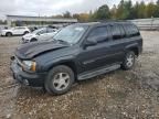 2003 Chevrolet Trailblazer